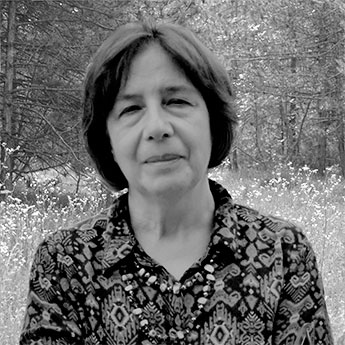 Dario Marisa